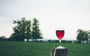 Glass of red wine on stump against view of field & evergreen trees by Jaime Street on UnSplash