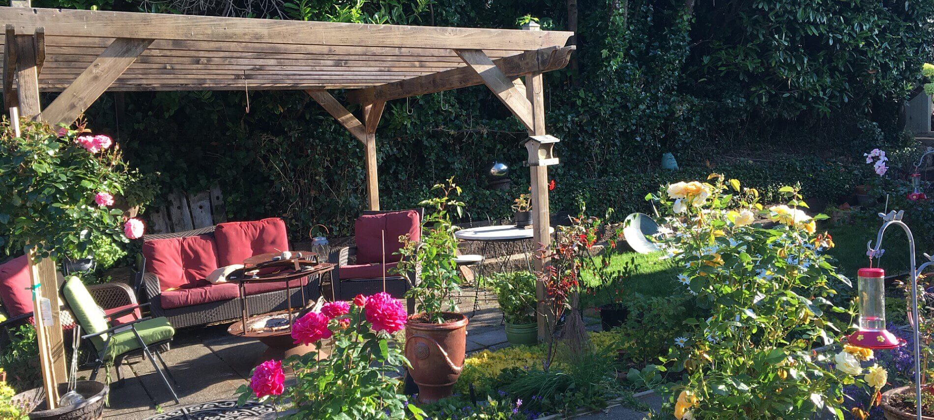 Outdoor area with a wooden pergola and comfortable seating surrounded by rose bushes.